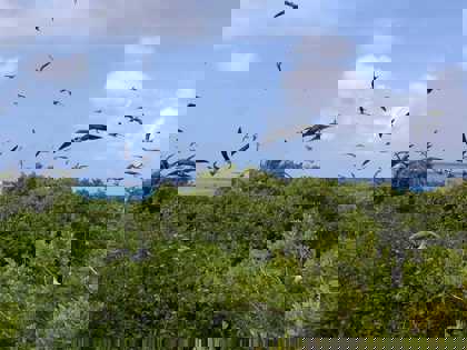 329170349_1483821025476018_6782598332121660028_n